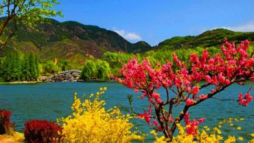 Best Travel Agent and Tour Agency In Srinagar Jammu Kashmir Leh Ladakh Pahalgam Gulmarg Sonmarg Dal Lake Houseboat Shikara Snow Summer Winter in Kashmir